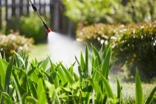 24/7 Emergency Wasp Removal experts in Taylor Creek, FL