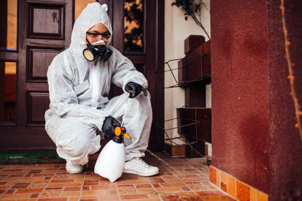 Reliable Wasp Removal contractor in Taylor Creek, FL by Show Me Pest Control
